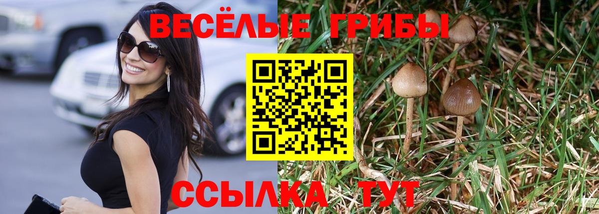Галлюциногенные грибы мухоморы  Вход с VPN  дарнет шоп  Орехово-Зуево 